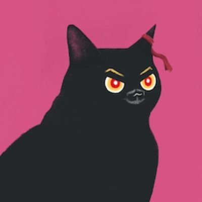 Magic cat avatar