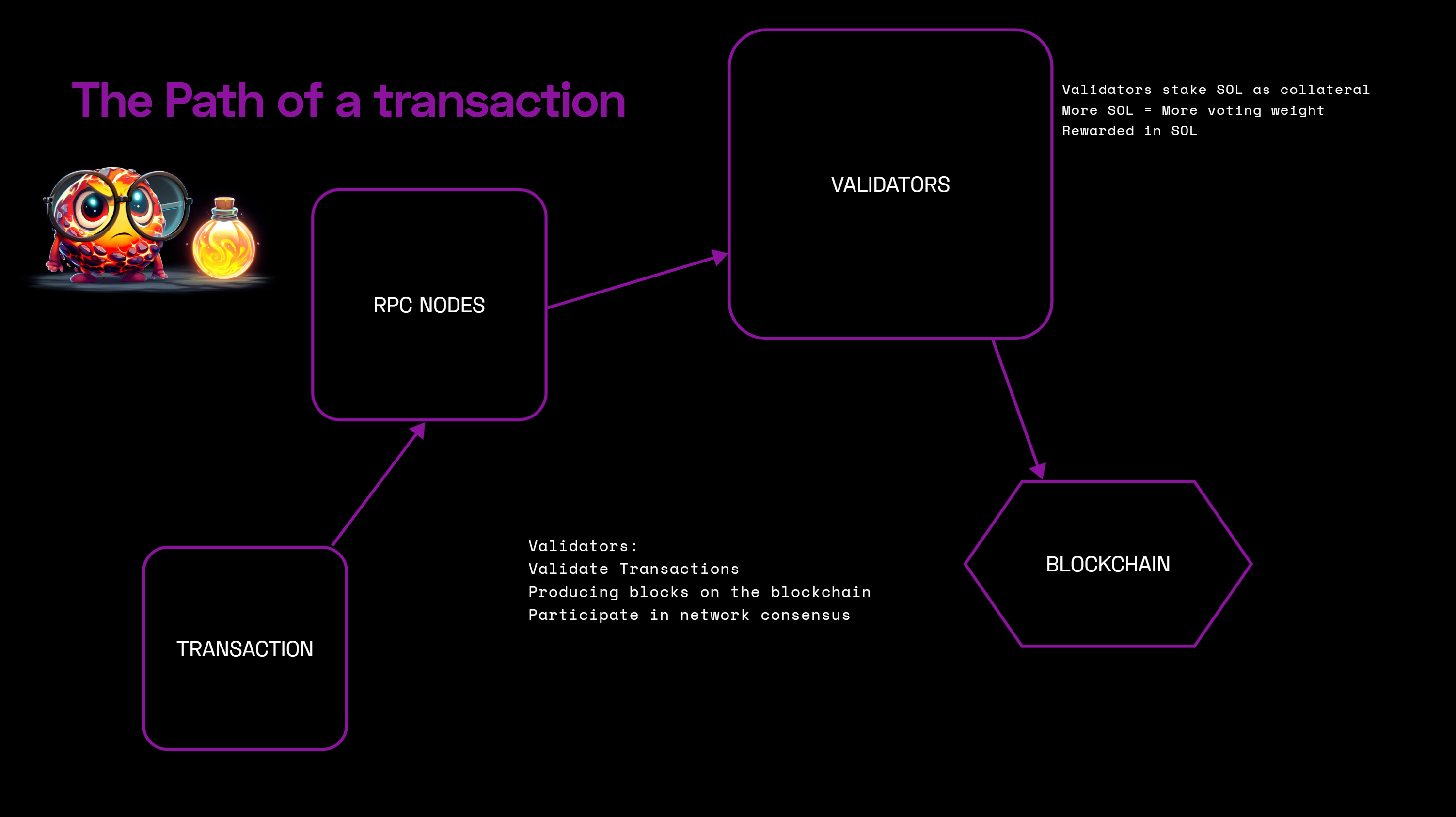 The path of a Solana transaction